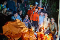 Seluruh Korban Helikopter PK-CFX yang Jatuh di Sekadu Berhasil Dievakuasi dalam Kondisi Meninggal