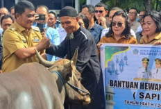 Gubernur Sulut Serahkan 46 Sapi Kurban, Termasuk Bantuan Presiden Prabowo