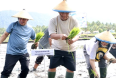 Gubernur Sulut Siapkan 2.000 Hektare Lahan dan Alat Pertanian untuk Dongkrak Produksi Pangan