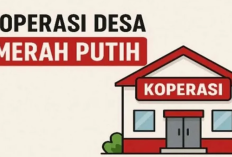 TNI Bantu Percepat Pembangunan Kantor Koperasi Desa Merah Putih di Talaud, Warga Apresiasi