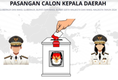 DPR Tegaskan Tak Ada Revisi UU Pilkada Tahun Ini