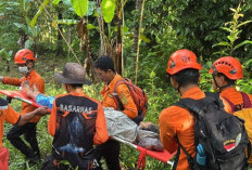 Lansia Hilang 5 Hari di Tomohon Ditemukan Selamat di Perkebunan Minahasa