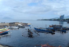 DFW Indonesia Dorong Penyelarasan Zonasi Perikanan di Sulut demi Stabilitas Ekonomi dan Perlindungan Pekerja