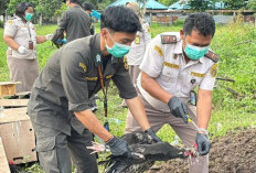 102 Ayam Ilegal Asal Filipina Dimusnahkan di Sulut, Cegah Ancaman Flu Burung Masuk Indonesia