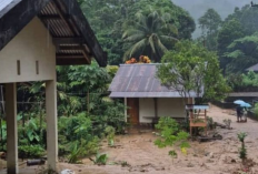 BPBD Ungkap Dampak Banjir Bandang Sangihe, Empat Kecamatan Diterjang Longsor dan Pohon Tumbang