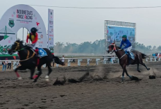 Sulut Sabet Juara Umum Kejurnas Pacuan Kuda 2026, Kalahkan Jawa Barat