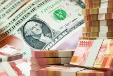 Rupiah Ditutup Melemah ke Rp17.667 per Dolar AS, Dipicu Tekanan Global
