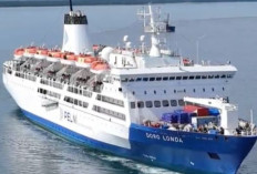 PELNI Prediksi Puncak Arus Balik Lebaran Jatuh pada 2 April 2026