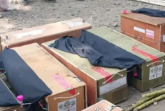 58 Satwa Liar dari Sulut Tiba di Maluku, Disiapkan untuk Konservasi dan Pelepasliaran