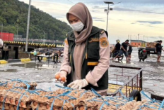 Karantina Sulut Perketat Pengawasan Logistik di Bandara dan Lima Pelabuhan Jelang Arus Mudik