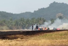 Kebakaran Rumput Ganggu Penerbangan, Bandara Sam Ratulangi Ditutup Sementara